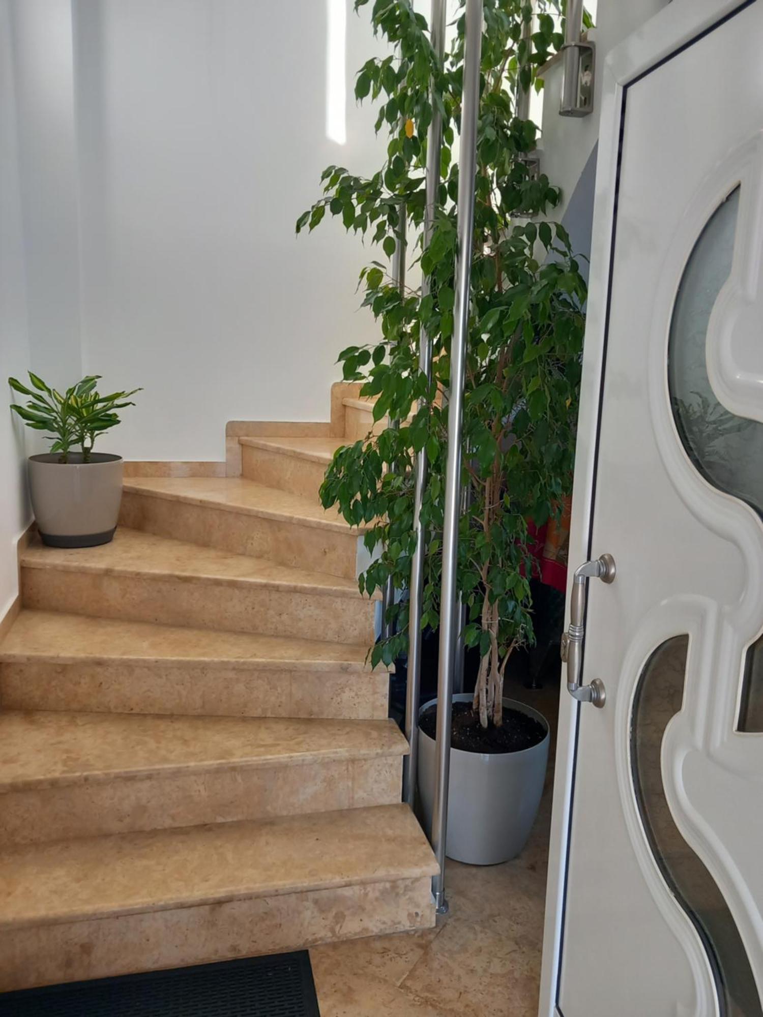 Luxury Apartment Amarynthos Dış mekan fotoğraf