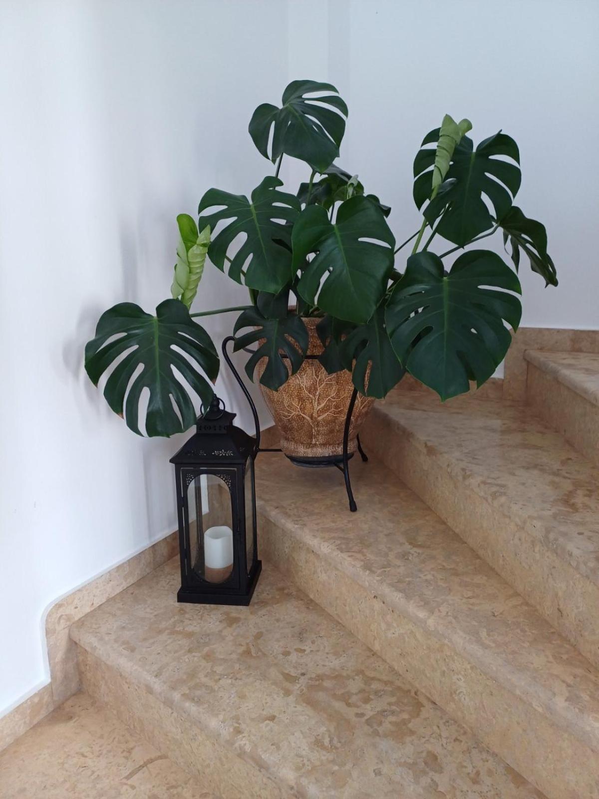 Luxury Apartment Amarynthos Dış mekan fotoğraf